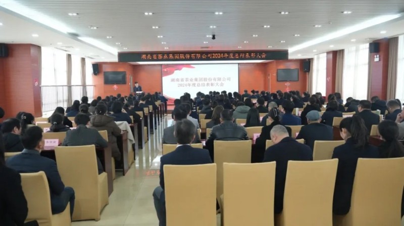 集團(tuán)公司2024年度總結(jié)表彰暨2025年工作動員大會順利召開