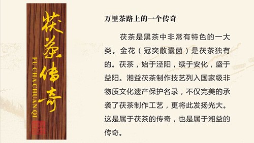 茯茶傳奇 茯茶傳奇