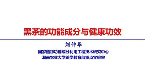 茶的功能成分與健康功效 | 茶、飲茶與健康