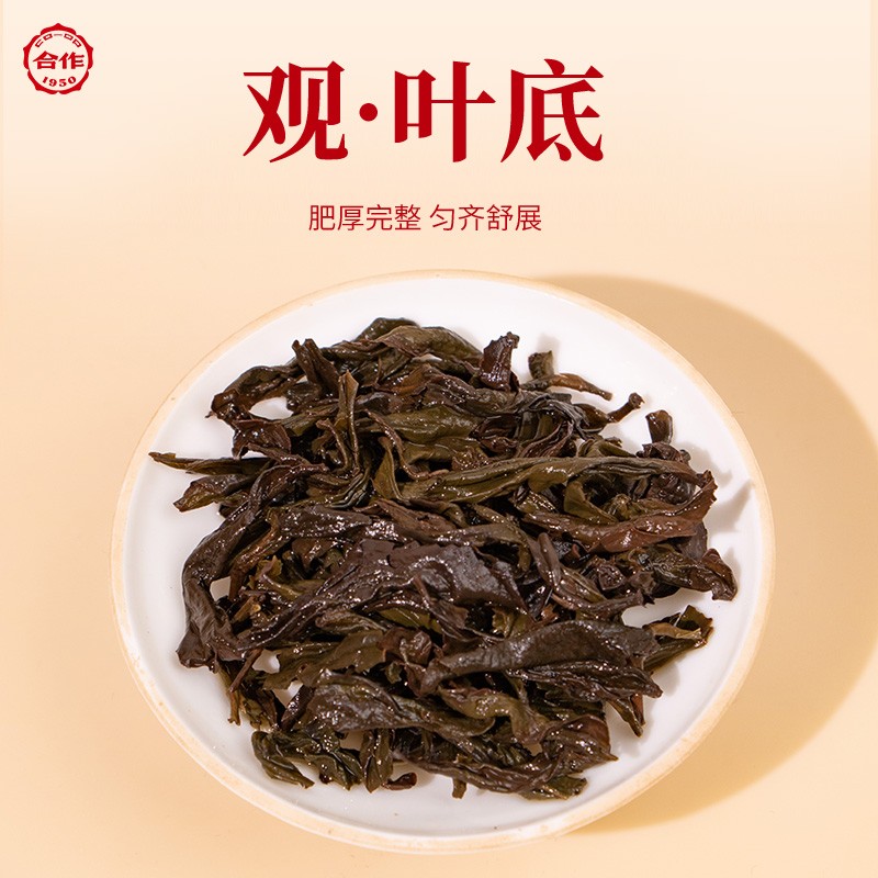 鴻運當(dāng)頭·大紅袍