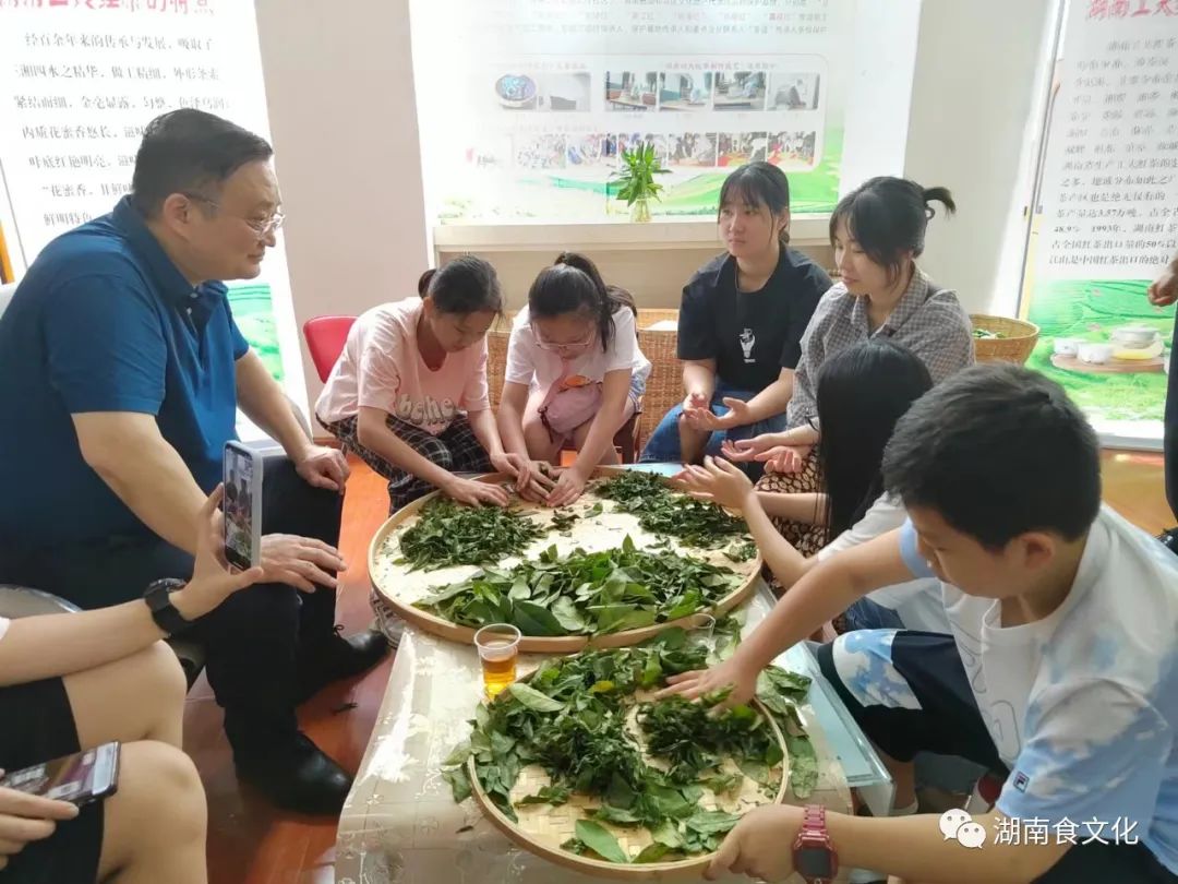 原載人民日報“人民視點”茶葉是怎樣做出來的？湖南大、中、小學生體驗湖南工夫紅茶制作